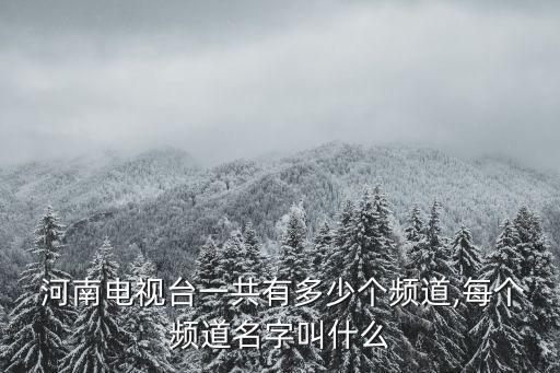  河南電視臺一共有多少個頻道,每個頻道名字叫什么