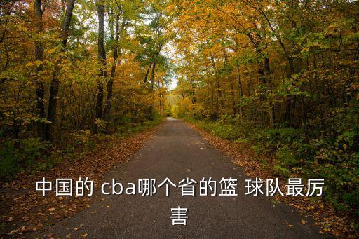 中國(guó)的 cba哪個(gè)省的籃 球隊(duì)最厲害