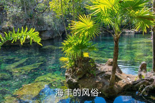 海豐的龍舟賽哪個臺直播？,端午與粽子、賽艇龍舟的故事