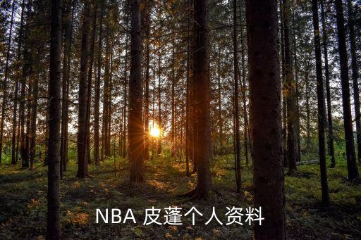 97希爾和96皮蓬哪個(gè)好,美國籃球夢之隊(duì)皮蓬?yuàn)Z得六冠王戒指