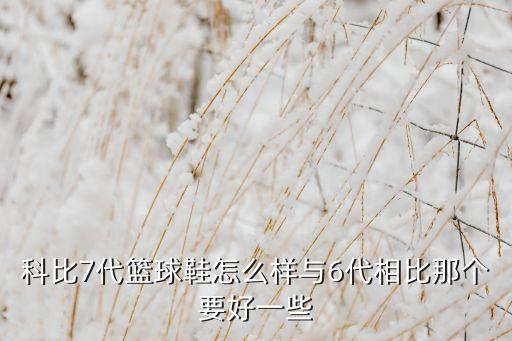 科比7代籃球鞋怎么樣與6代相比那個要好一些