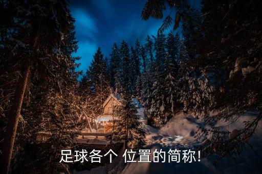 左后衛(wèi)是哪個位置,足球是世界第一運動的簡稱