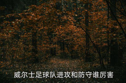  威爾士足球隊(duì)進(jìn)攻和防守誰厲害