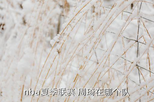nba夏季聯(lián)賽 周琦在哪個隊(duì)