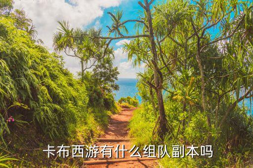 卡布西游有什么組隊(duì)副本嗎