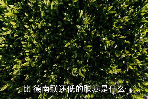 德南聯(lián)是哪個國家的,南北聯(lián)賽區(qū)分五個聯(lián)賽名單出爐