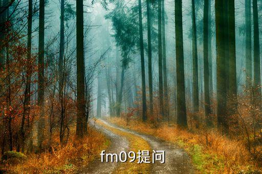  fm09提問