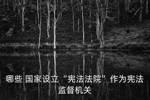 哪些 國家設立“憲法法院”作為憲法監(jiān)督機關
