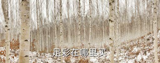 競(jìng)彩足球哪個(gè)支持線上購(gòu)買,體彩中心放假各種彩票都停止銷售
