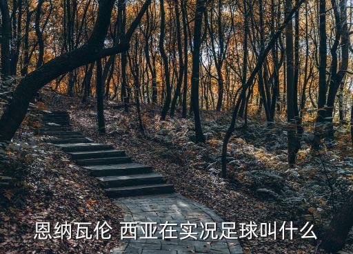 恩納瓦倫 西亞在實況足球叫什么