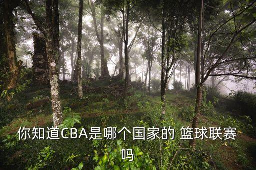 你知道CBA是哪個(gè)國(guó)家的 籃球聯(lián)賽嗎