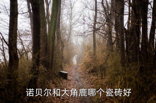  諾貝爾和大角鹿哪個瓷磚好