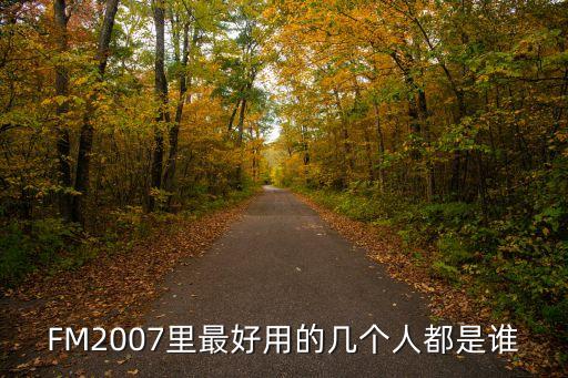 FM2007里最好用的幾個(gè)人都是誰