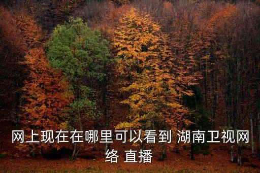 哪個直播可以看湖南衛(wèi)視,湖南衛(wèi)視采用視頻在線直播系統(tǒng)直播