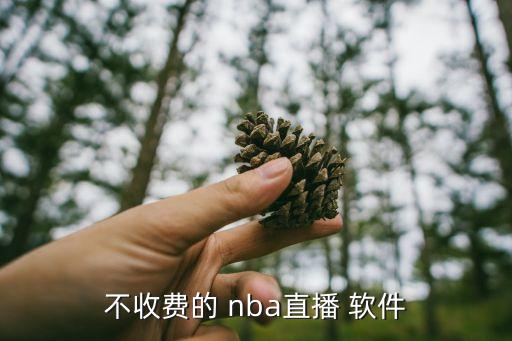nba投注哪個軟件好用,nba直播:我用騰訊軟件看比賽
