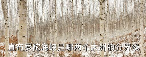  直布羅陀海峽是哪兩個(gè)大洲的分界線