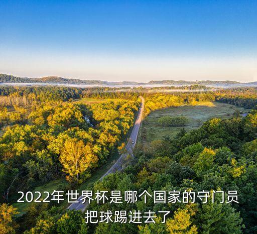 2022年世界杯是哪個(gè)國(guó)家的守門員把球踢進(jìn)去了