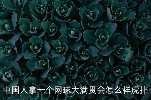 中國人拿一個網(wǎng)球大滿貫會怎么樣虎撲