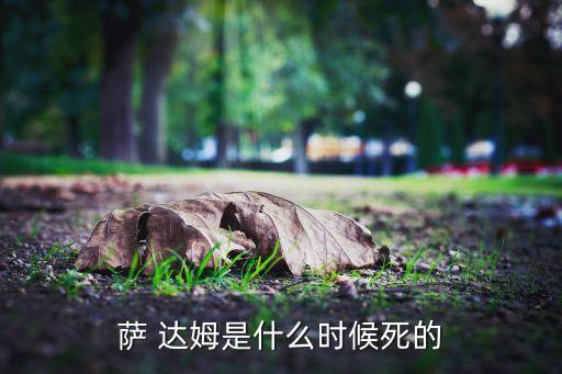 薩 達(dá)姆是什么時(shí)候死的