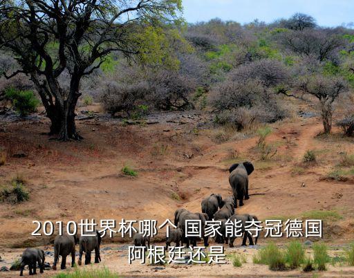 2010世界杯哪個(gè) 國家能奪冠德國阿根廷還是