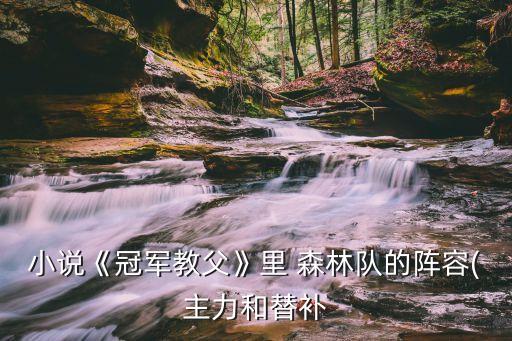 小說(shuō)《冠軍教父》里 森林隊(duì)的陣容(主力和替補(bǔ)