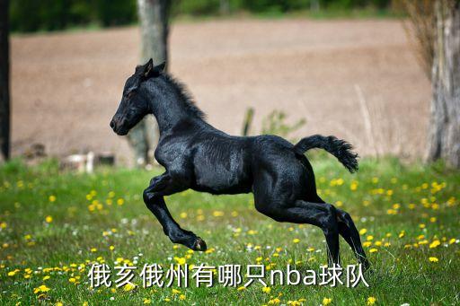 俄亥俄州有哪只nba球隊(duì)
