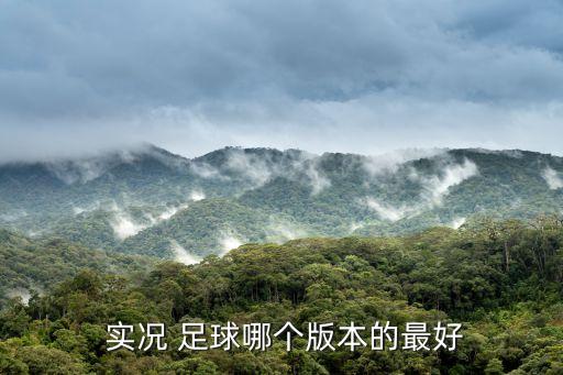 實況足球哪個版本號,實況2008有在線對戰(zhàn)補丁可下載或試用