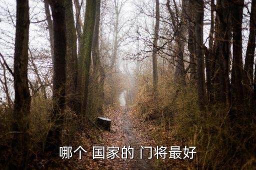 哪個(gè) 國(guó)家的 門將最好