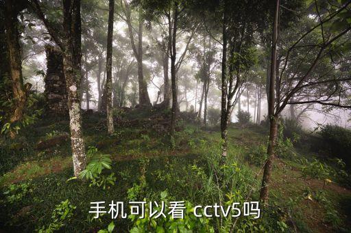哪個直播軟件能看cctv5直播,央視直播新功能