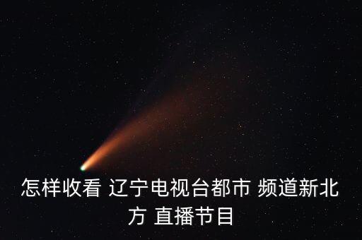 怎樣收看 遼寧電視臺都市 頻道新北方 直播節(jié)目