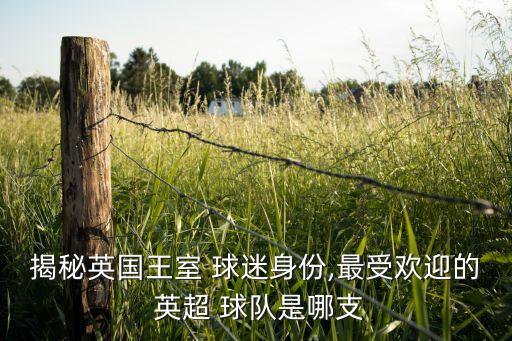 英超哪個(gè)球隊(duì)在英格蘭球迷最多,我是曼聯(lián)死忠球迷5