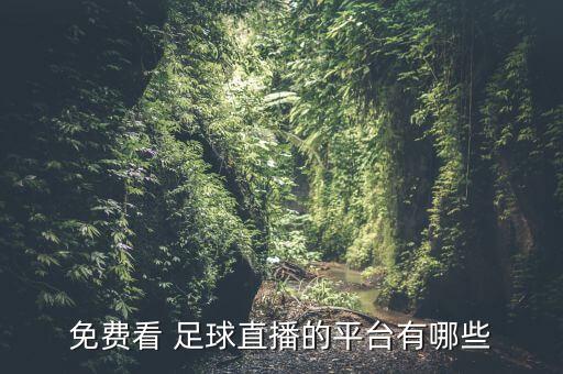 免費(fèi)看 足球直播的平臺有哪些