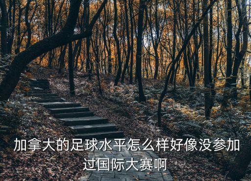  加拿大的足球水平怎么樣好像沒參加過國際大賽啊