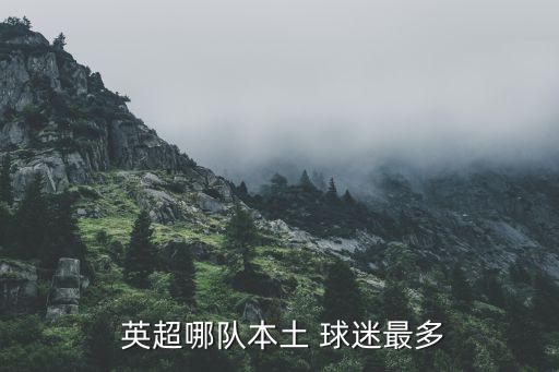  英超哪隊本土 球迷最多