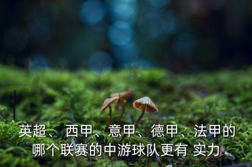  英超、 西甲、意甲、德甲、法甲的哪個(gè)聯(lián)賽的中游球隊(duì)更有 實(shí)力
