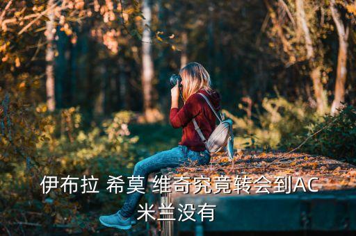 伊布拉希莫維奇在哪個(gè)隊(duì),伊布拉希莫維奇加盟尤文圖斯