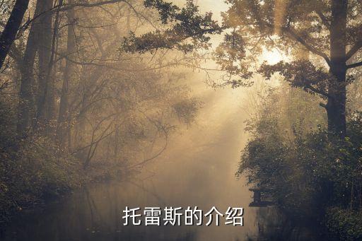 托雷斯哪個(gè)賽季好,歐冠杯:拜仁慕尼黑隊(duì)托雷斯是最大熱門球員