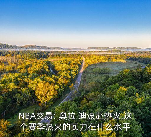 NBA交易: 奧拉 迪波赴熱火,這個賽季熱火的實力在什么水平