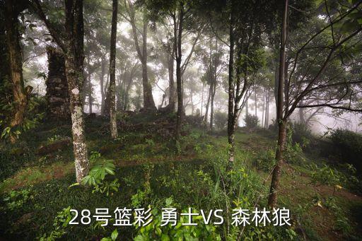 勇士與森林狼哪個(gè)臺(tái)轉(zhuǎn)播今天,明尼阿波利斯:勇士陣容回歸強(qiáng)勢(shì)