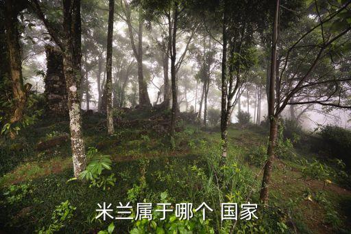 米蘭是哪個國家,意大利最大都市經(jīng)濟(jì)首都羅巴第首府米蘭省會