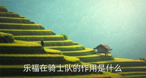 樂福在騎士隊的作用是什么