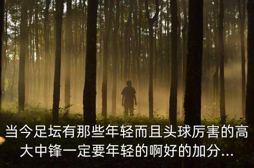 哪個(gè)略倫特好用,世界杯點(diǎn)球大戰(zhàn)西班牙0-3不敵摩洛哥