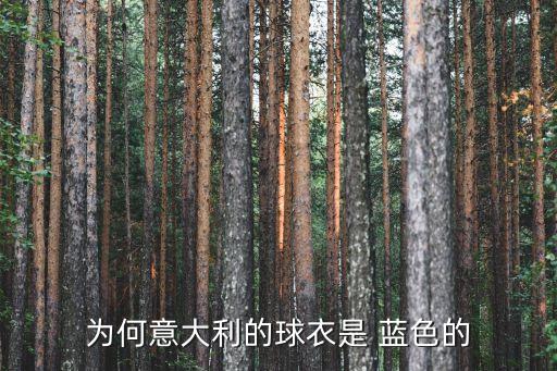 哪個(gè)足球隊(duì)隊(duì)服是藍(lán)色,意大利全身藍(lán)色球衣藍(lán)衣軍團(tuán)名字由來(lái)