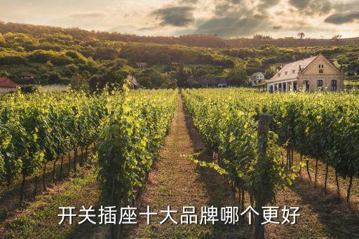 突破和公牛哪個(gè)好,電力配件公司推動(dòng)我國插座板行業(yè)升級(jí)換代