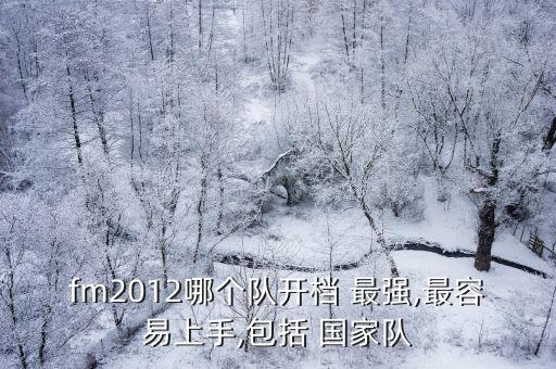 fm2012哪個(gè)隊(duì)開(kāi)檔 最強(qiáng),最容易上手,包括 國(guó)家隊(duì)
