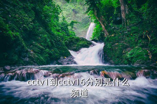 上海cctv5加哪個(gè)頻道,央視電視頻道播出的頻道有哪些?