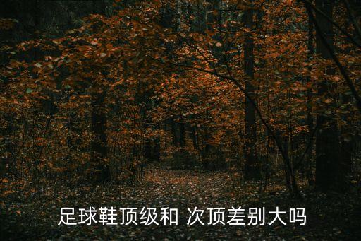  足球鞋頂級和 次頂差別大嗎