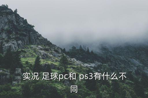  實(shí)況 足球pc和 ps3有什么不同