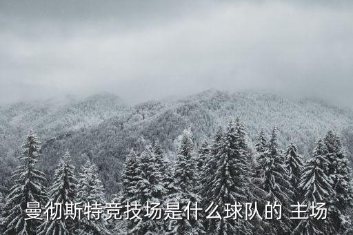 曼徹斯特競(jìng)技場(chǎng)是什么球隊(duì)的 主場(chǎng)