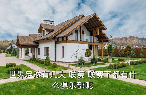 世界足球有幾大 聯(lián)賽 聯(lián)賽下都有什么俱樂(lè)部呢